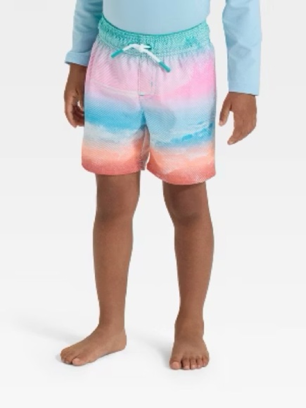Boys Cat & Jack Bright Multicolor Scenic Beach Swim Trunks